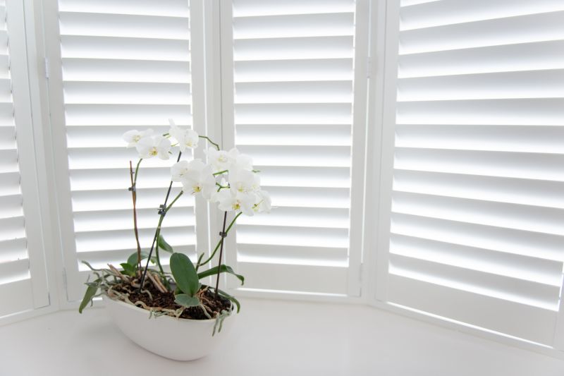 Shutters Installation in Overland Park, KS